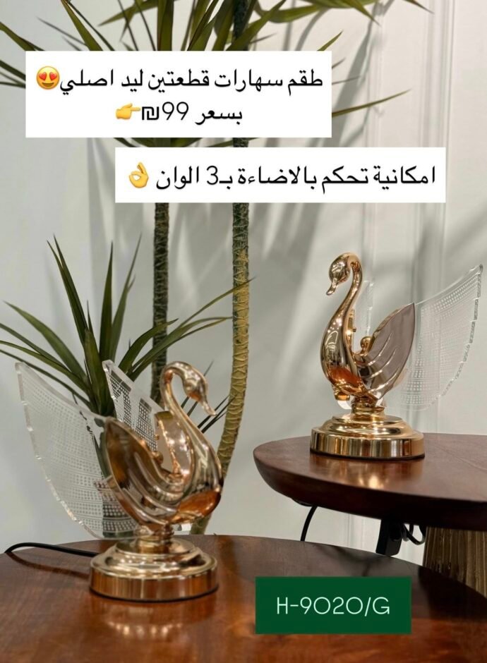 طقم سهارات قطعتين ليد أصلي